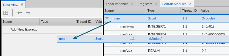 Image showing dragging a Fortran module from the Fortran Modules view to the Data View
