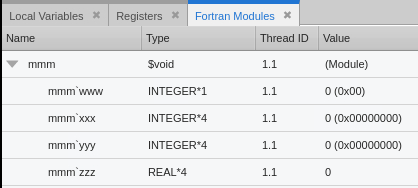 Image showing basic Fortran Modules view with data