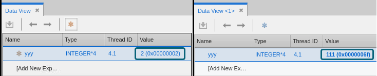 Freezing Data (in the Data View)